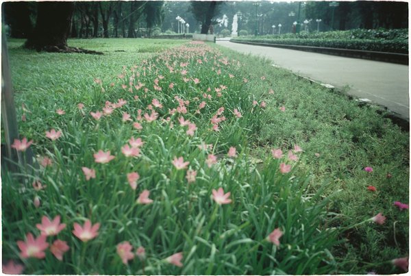 Quels sont les meilleurs conseils pour une randonnée dans le Parc National de Banff, Canada ?